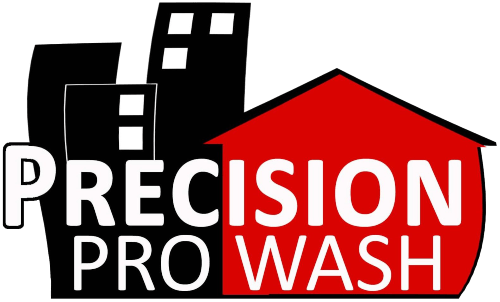 Precision Pro Wash